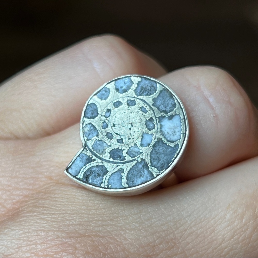 Sterling Silver Pyritized Ammonite Shell Ring. Sz 6